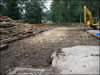 My Gallery: Image